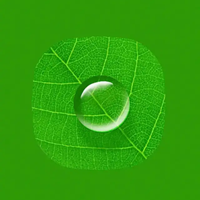 花开半夏的头像