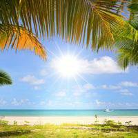 荔枝玫瑰的头像