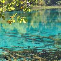 峨眉金顶的头像