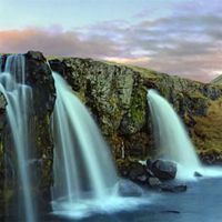 西柚冰茶的头像