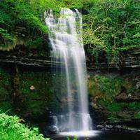 斑驳门环的头像