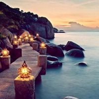 草书狂歌的头像