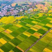 苔痕上阶的头像