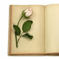 椰椰芒芒的头像