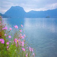 人间烟火的头像