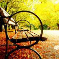 银针落雪的头像