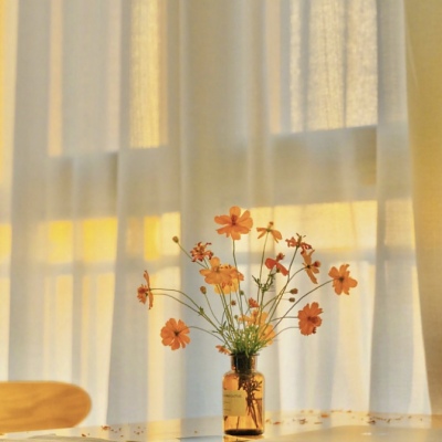 黑洞漫游的头像