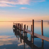 风止长林的头像