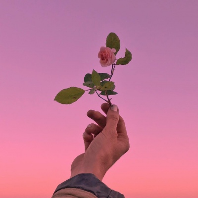 南风入弦的头像